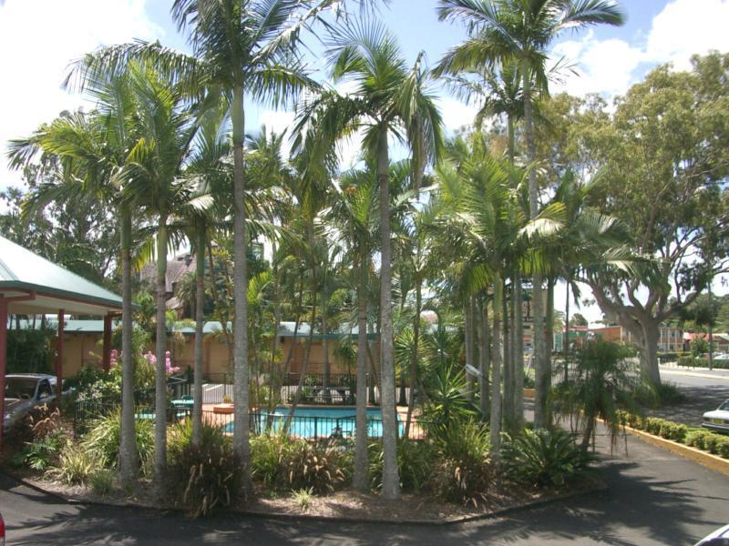 Lismore Fair Dinkum Motel Kültér fotó